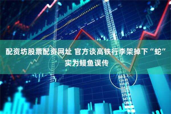 配资坊股票配资网址 官方谈高铁行李架掉下“蛇” 实为鳗鱼误传